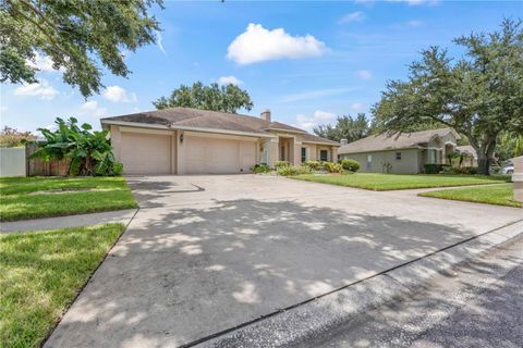 A home in VALRICO