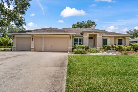 A home in VALRICO