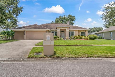 A home in VALRICO