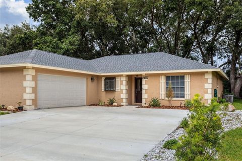 A home in WESLEY CHAPEL