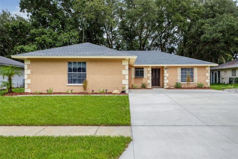 A home in WESLEY CHAPEL