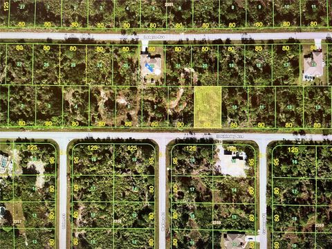 13132 DOUBLEDAY AVENUE PORT CHARLOTTE FL 33953