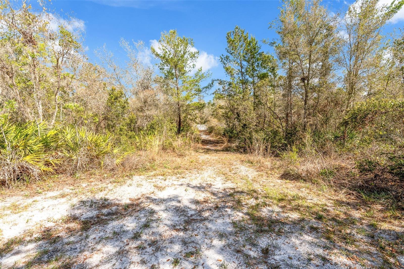 CAMBRIDGE VILLAS - Residential