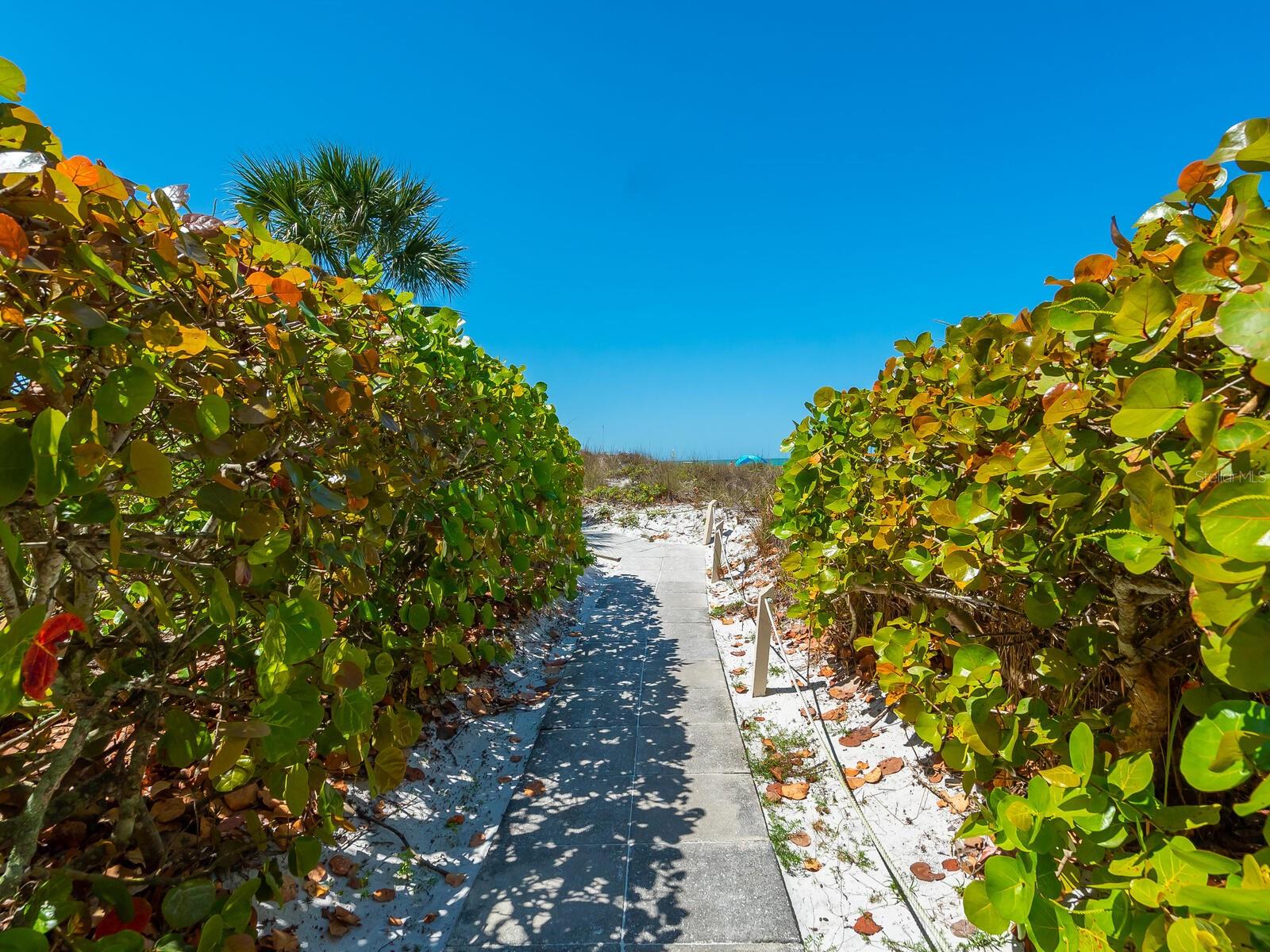 EXCELSIOR BEACH TO BAY 4 - Residential