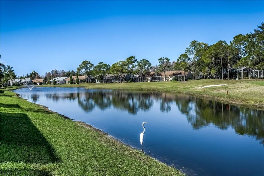 Live your best Florida life in this cheerful and easy-living Active 55+ GATED 18-Hole GOLF COURSE community! This delightful 2-bedroom, 2-bath, 2-car garage villa offers one of the most BEAUTIFUL pond and golf course VIEWS in the community—your own peaceful slice of paradise.
Enjoy low-maintenance living with a quarterly HOA fee that covers ROOF REPLACEMENT, EXTERIOR PAINT, CABLE TV, INTERNET, and LAWN CARE, giving you more time to relax and have fun. Inside, the open and inviting floorplan features a spacious kitchen with breakfast nook, Corian countertops, and tile flooring, flowing seamlessly into the dining and living areas with HARDWOOD FLOORS, CROWN MOLDING, and TRAY CEILING.
Slide open the doors to your PRIVATE screened-in LANAI and soak in those gorgeous water and golf course views—perfect for morning coffee or sunset relaxation, completed with a 4-person SPA with jets. The primary suite is bright and comfortable, offering an en-suite bath with dual sinks, walk-in shower, and a generous walk-in closet. A split-bedroom layout provides privacy for guests, with the front bedroom featuring a built-in Murphy bed and great closet space, plus a nearby guest bath with a tiled walk-in shower. A convenient indoor laundry room includes washer and dryer.
Recent updates add peace of mind, including ROOF 2020, WATER HEATER 2025. Updated double pane windows with tinted UV film, and sliding glass doors with tinted UV film. A/C 2016 and a water softener.
The fun continues with resort-style amenities—a beautiful clubhouse with restaurant, ballroom, fitness center, library, and golf shop, plus countless clubs and activities. Enjoy golf, driving range, putting green, saltwater pool and jacuzzi, tennis, pickleball, bocce ball, shuffleboard, dog park, garden area, and more.
Just outside the gate you’ll find Publix, banking, salons, restaurants, and everyday conveniences. Easy access to major roads, Tampa Premium Outlets, shopping, and dining.
 A wonderful place to relax, socialize, and truly feel at home—Florida living at its finest!