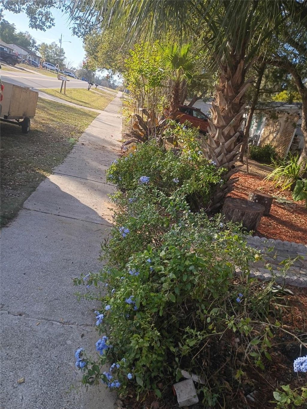 Photo of 27043 Roper Road, Brooksville, FL 34602 (MLS # TB8475404)