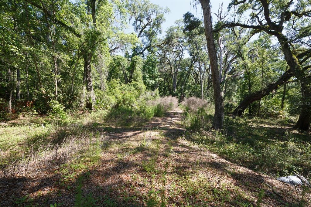 Photo of 200 NE 364th Avenue, Old Town, FL 32680 (MLS # W7885536)