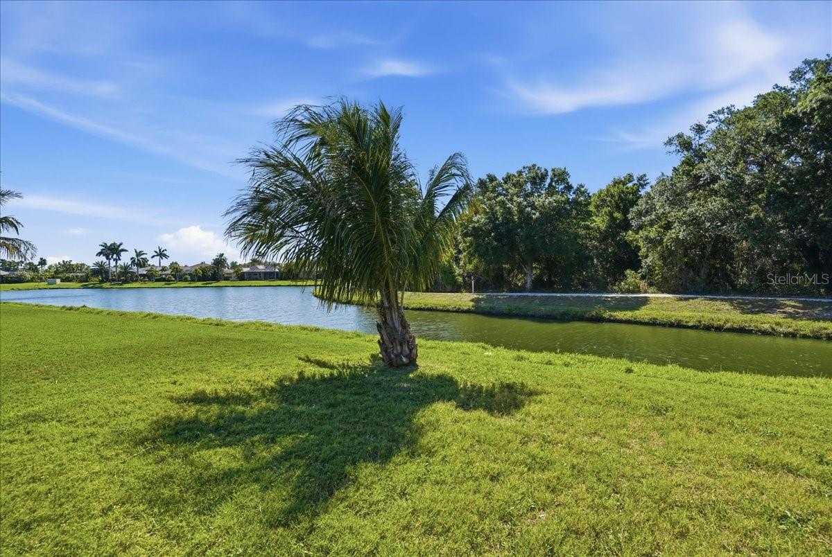 LEXINGTON PH V, VI & VII - Residential