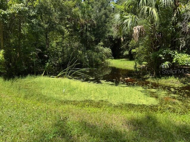 BLACK HAMMOCK - Land