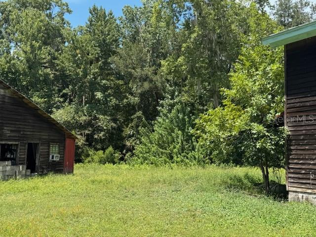 BLACK HAMMOCK - Land