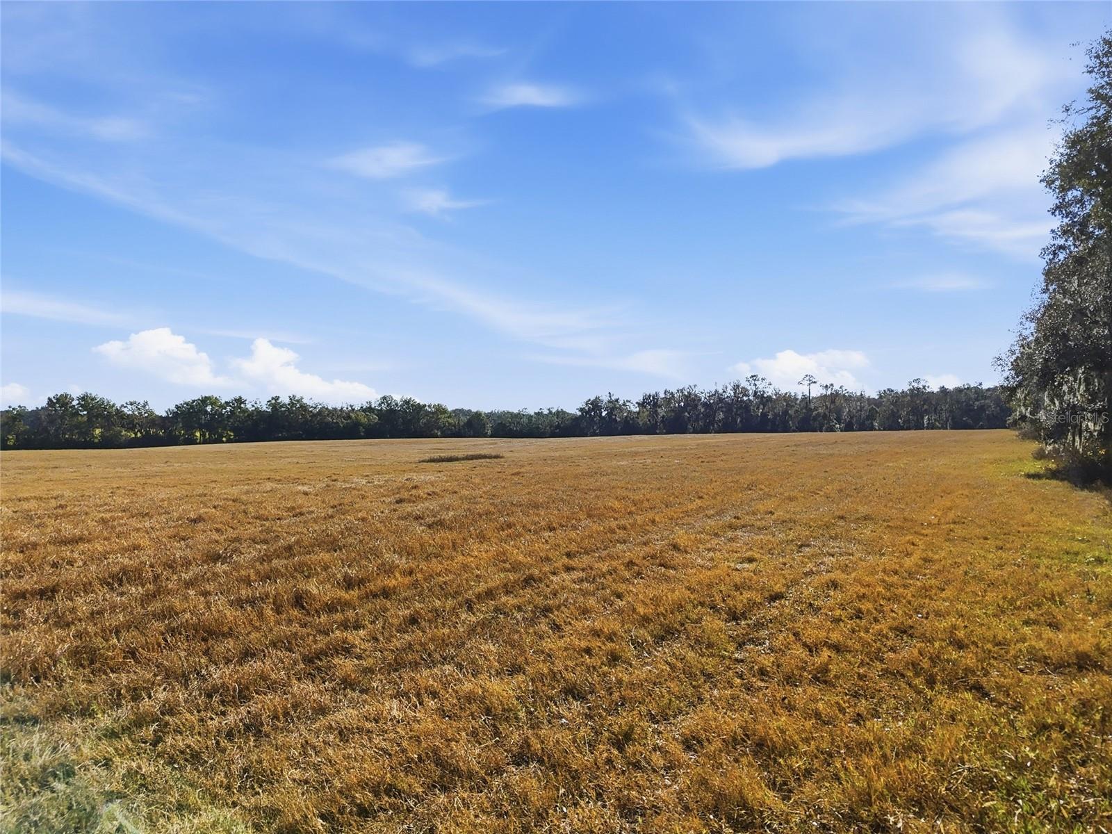 NOT IN SUBDIVISION - Land