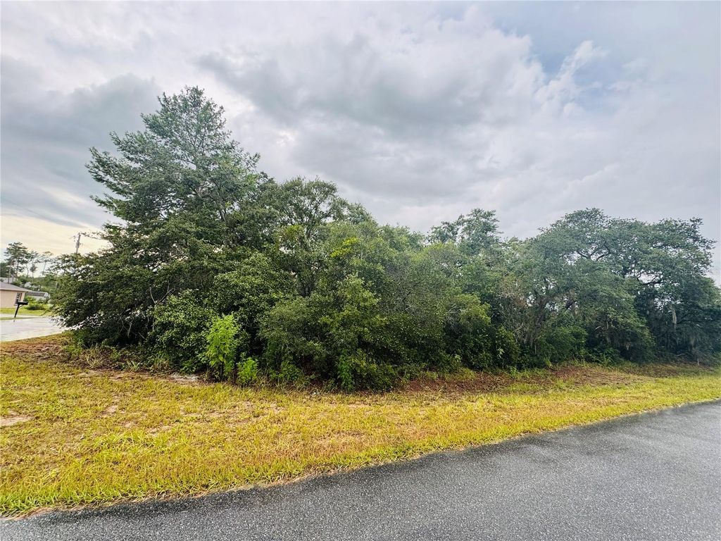 Photo of Tbd SW 111th Pl, Ocala, FL 34476 (MLS # OM707471)
