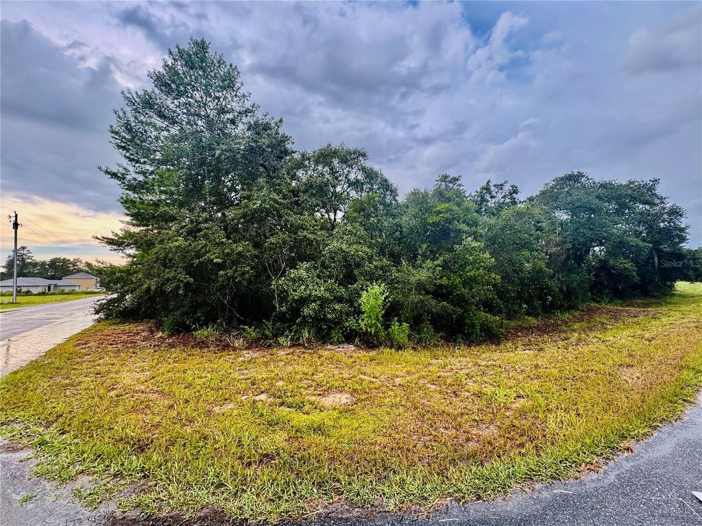 Photo of Tbd SW 111th Pl, Ocala, FL 34476 (MLS # OM707471)