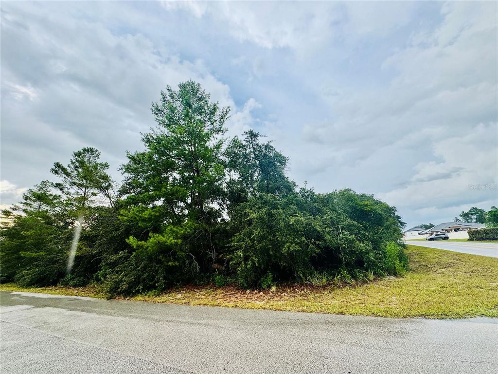 Photo of Tbd SW 111th Pl, Ocala, FL 34476 (MLS # OM707471)