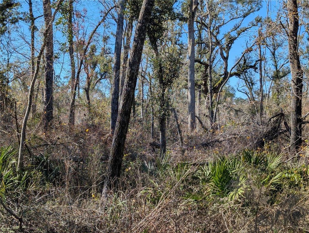 Photo of NW Fox Run Trail #107, Mayo, FL 32066 (MLS # TB8458797)