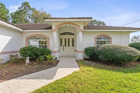 A home in PALM COAST