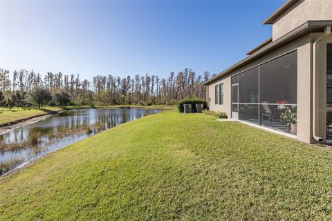 A home in LAND O LAKES