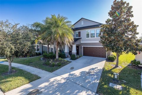 A home in LAND O LAKES