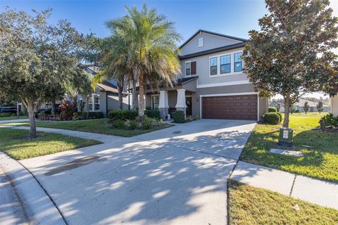 A home in LAND O LAKES