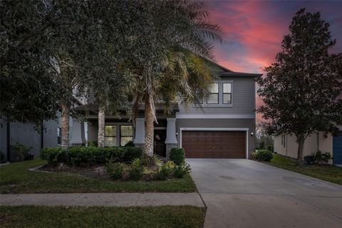 A home in LAND O LAKES