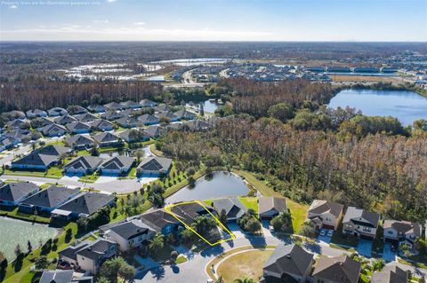 A home in LAND O LAKES