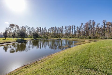 A home in LAND O LAKES