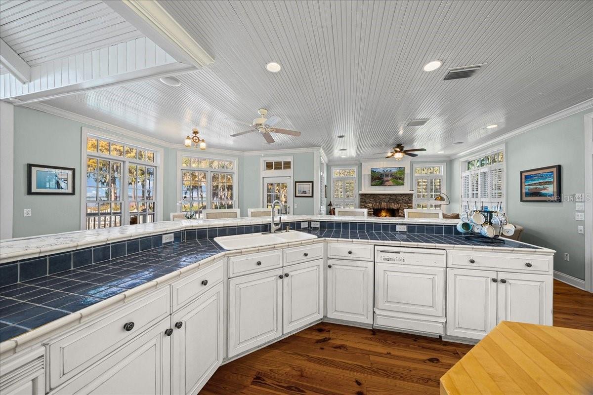 TAVARES PENINSULA TRACTS A-G REP - Residential