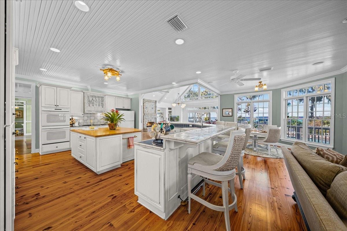 TAVARES PENINSULA TRACTS A-G REP - Residential