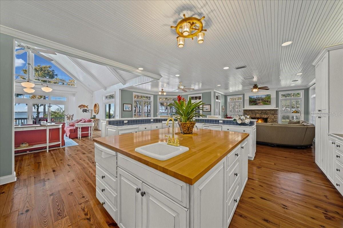 TAVARES PENINSULA TRACTS A-G REP - Residential