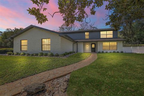 A home in MOUNT DORA