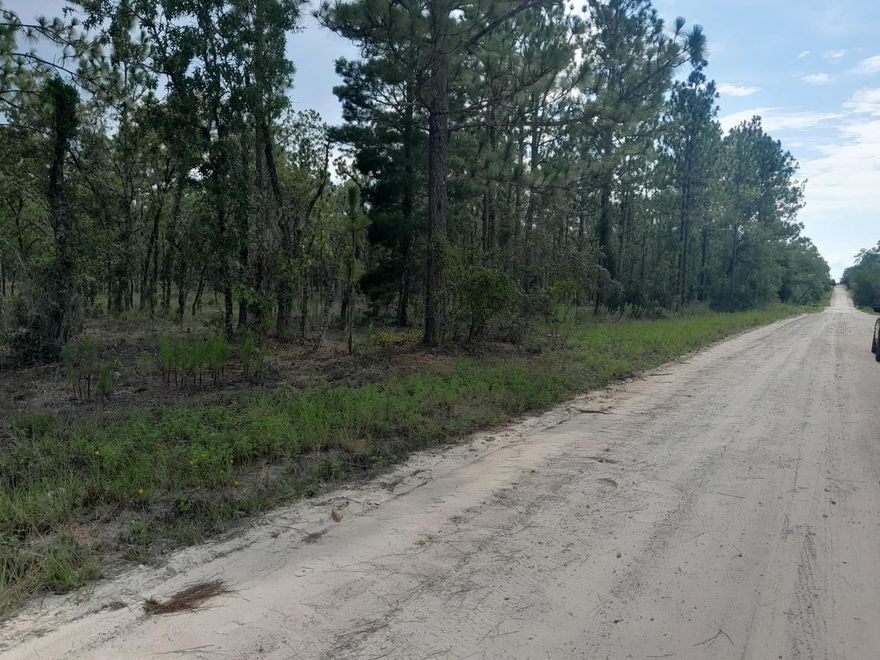 PRICE REDUCED TO 30K!!!!  HIGH AND DRY 1.25 ACRE PROPERTY!!!  Perfect to build or place a manufactured home on for your family get away or moving for good to live in the country.  Zoned A/RR (Agricultural/Rural residential) so you can have a garden, goats, chickens, fresh eggs everyday!! NO FLOOD ZONE! Parcel measures about 165' on the road and 330' deep. Just minutes to Williston town for your shopping needs, salons, restaurants and more!  Only 30 minutes to Gainesville, Ocala, Cedar Key and Dunnellon. This is a beautiful lot and won't last long....call today to book an appointment to come and see it!!  Dimensions taken from property appraiser site.