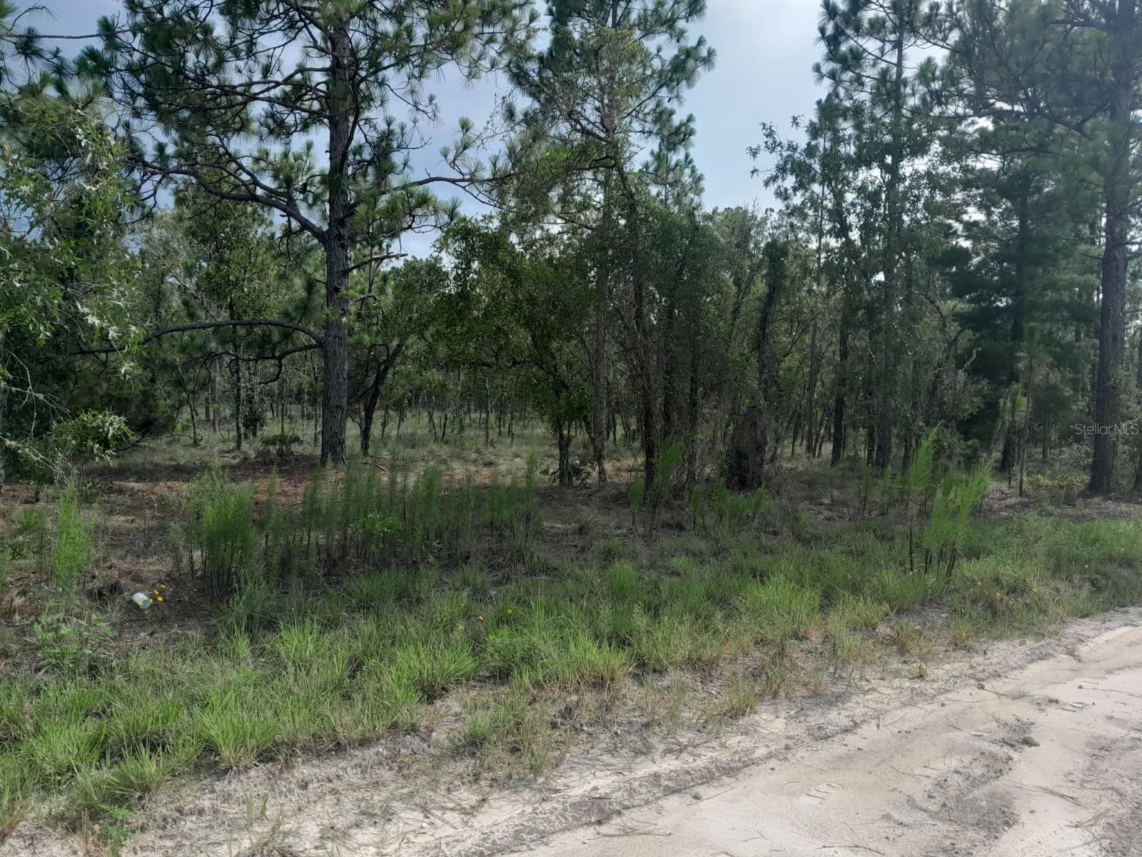 WILLISTON HIGHLANDS UNIT 7 - Land