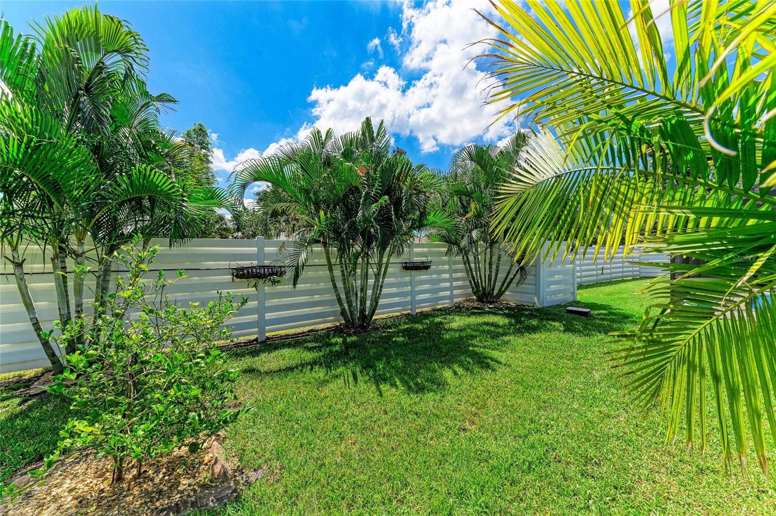 PINE TRACE - Residential