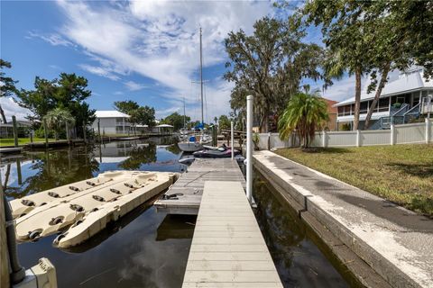 A home in CRYSTAL RIVER