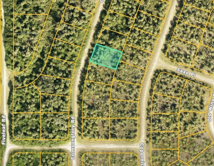 Great Deal for an affordable investment property in Sarasota county, either to build your dream home or just to hold on to as an investment. Enjoy all North Port has to offer, you are close to the Pristine Gulf of Mexico Beaches, shopping, restaurants, the Atlanta Braves and Tampa Bay Rays Spring Training stadium and much more!!! SELLER HAS 3 OTHER LOTS FOR SALE IN THE AREA.