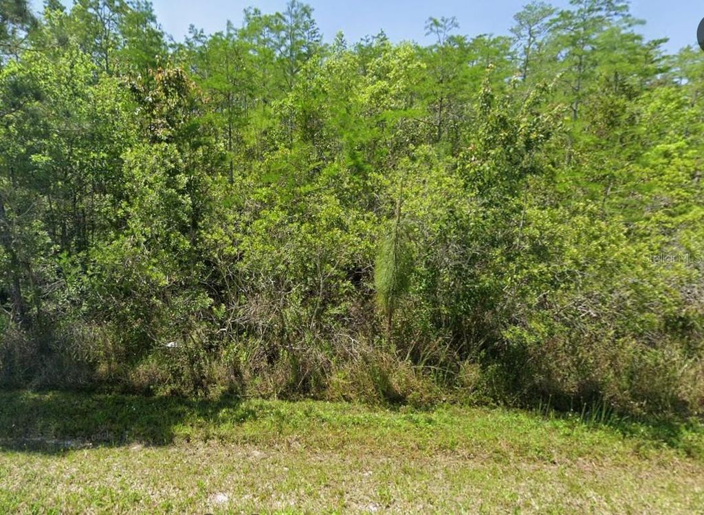 Photo of 0 Pierre Ave, Saint Cloud, FL 34773 (MLS # O6380438)