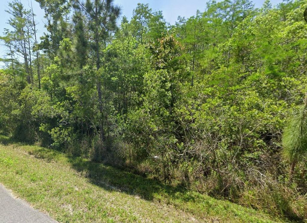 Photo of 0 Pierre Ave, Saint Cloud, FL 34773 (MLS # O6380438)