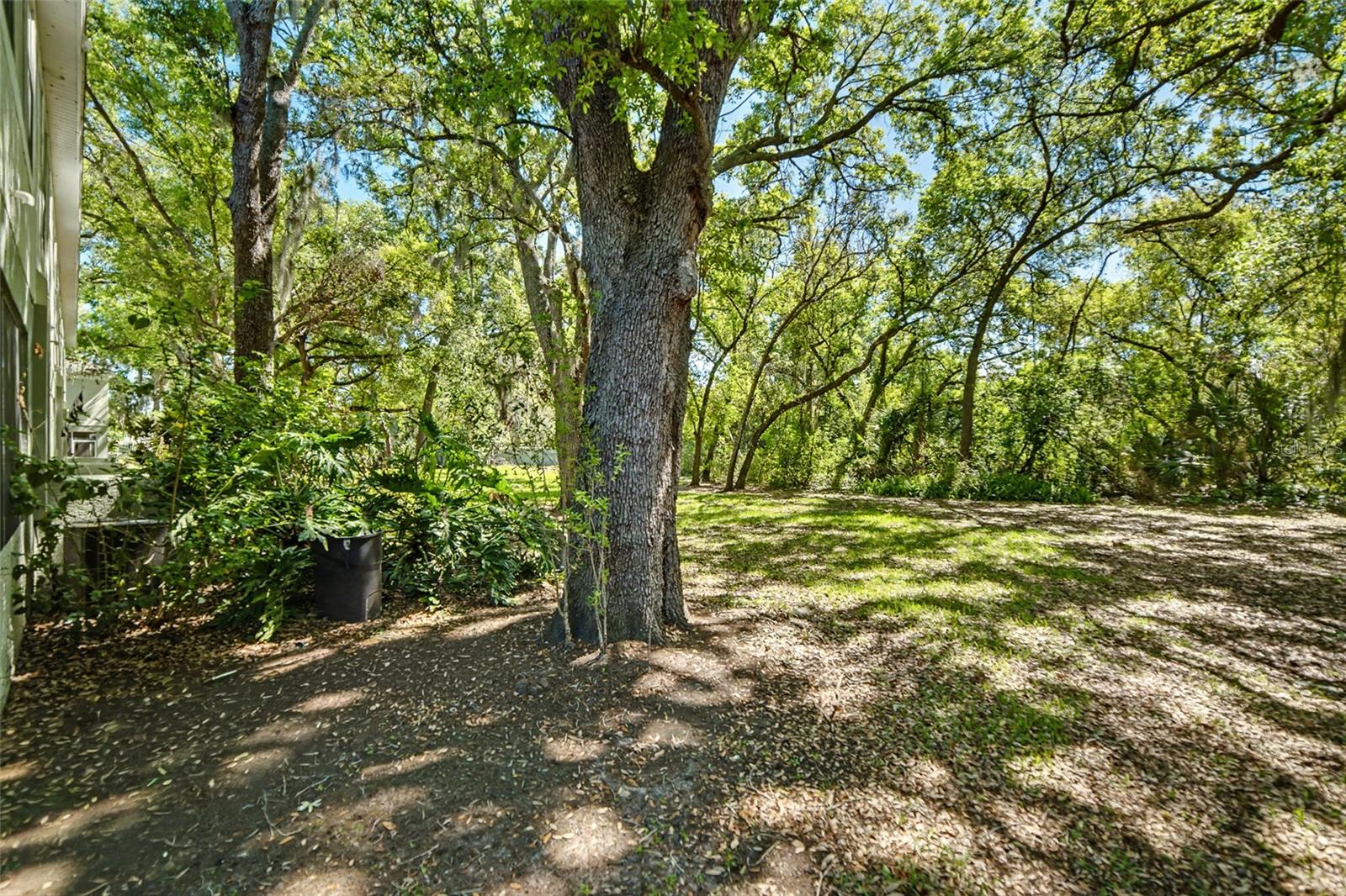 CHELSEA MANOR - Residential