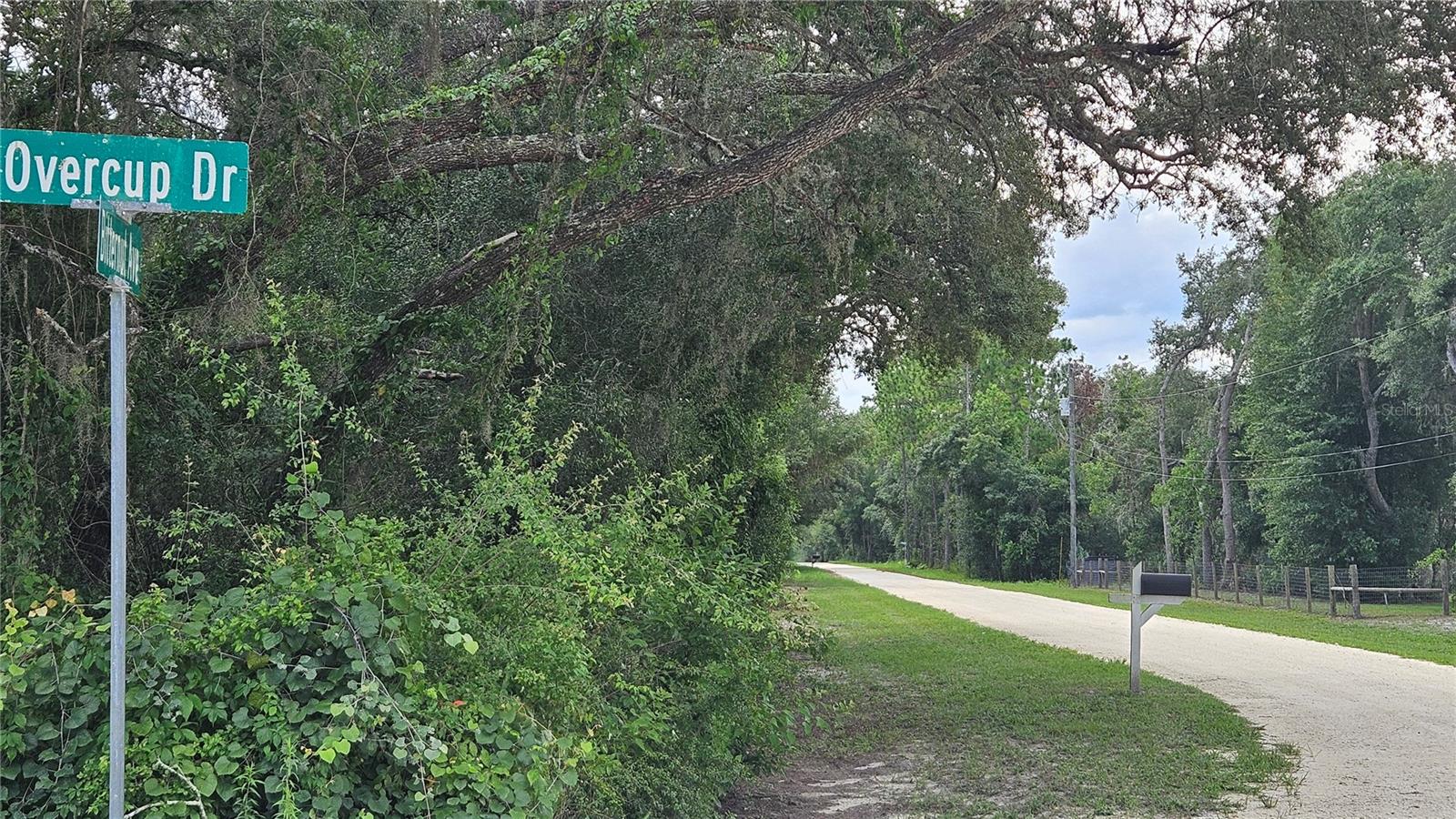 RIDGE MANOR ESTATE - Land