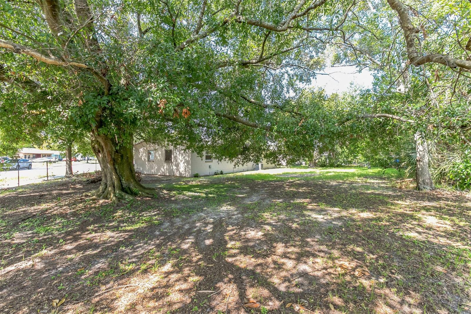 MALIBU GROVES NINTH ADD - Residential