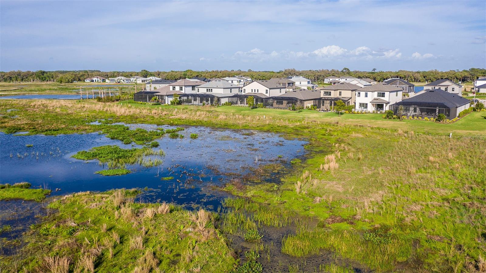 CASSIA AT SKYE RANCH - Residential