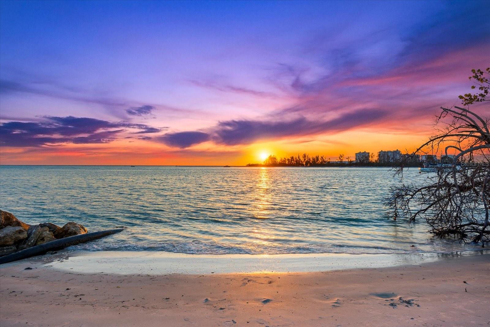 SIESTA REV OF - Residential