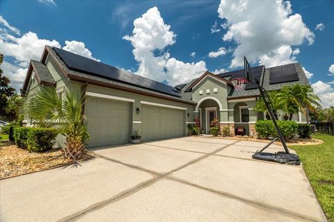 Photo of 19358 Yellow Clover Dr, Tampa, FL 33647 (MLS # TB8416476)