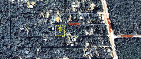 Photo of X NE 192nd Street, Fort Mccoy, FL 32134 (MLS # O6420198)