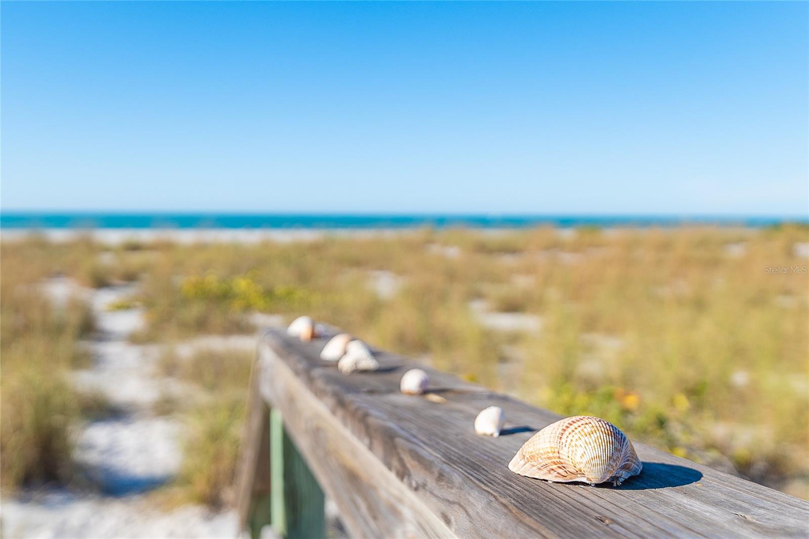 PALM ISLAND VILLAGE PH 02 - Residential