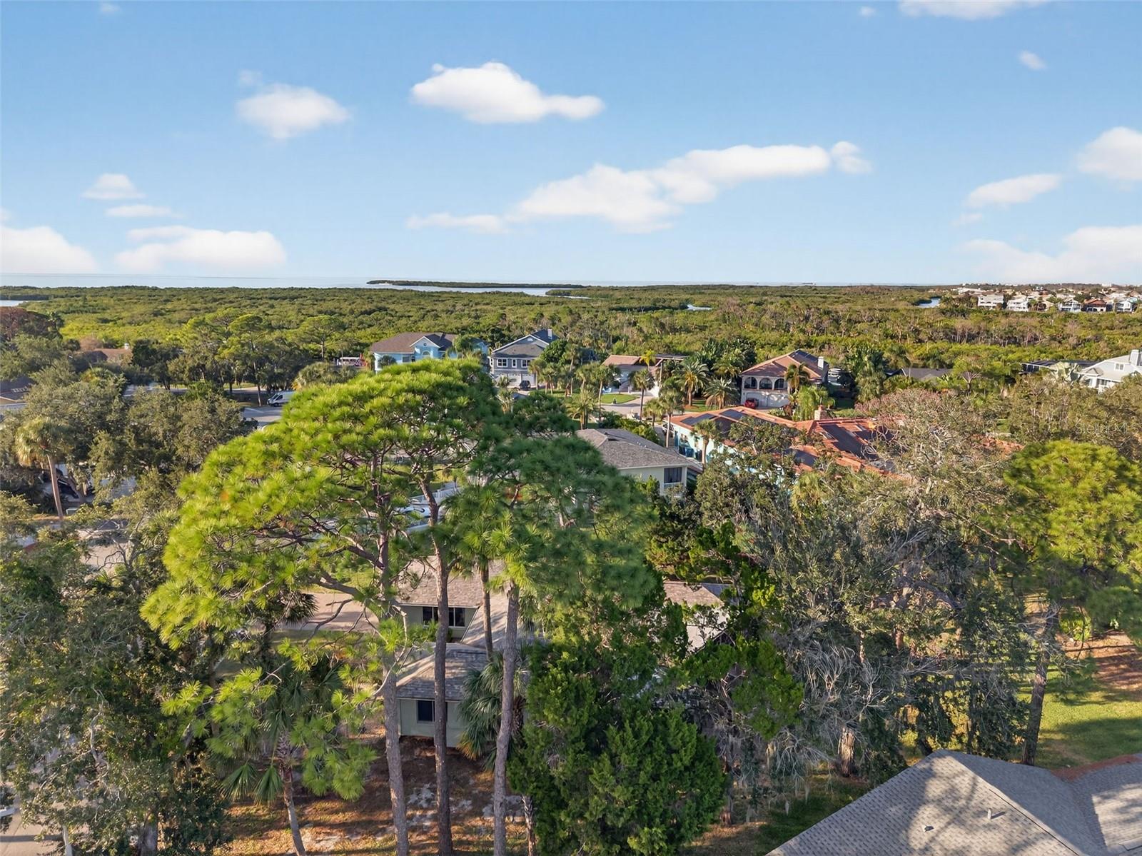 GULF HARBORS WOODLANDS - Residential