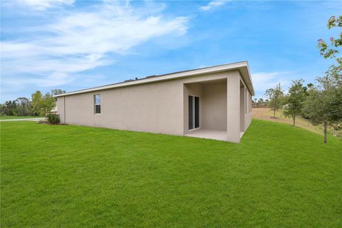 Tiny photo for 33936 Seattle Slew Drive, Sorrento, FL 32776 (MLS # O6416483)