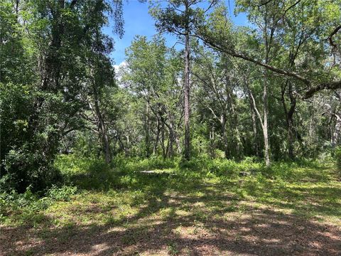 TBD SE 192ND COURT MORRISTON FL 32668