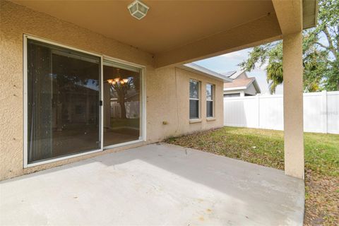 A home in RIVERVIEW