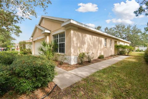 A home in RIVERVIEW